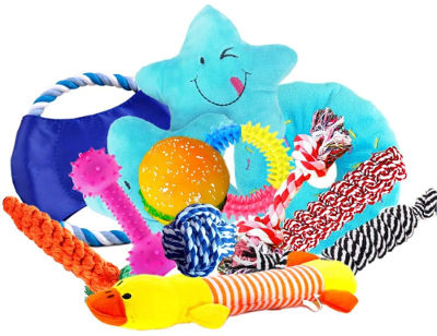 Dog chew toys gift set