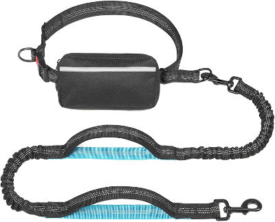Hands free leash - dog gift