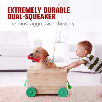Squeaky dog chew toy - dog gifts