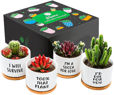 ceramic pot planters - gifts for a gardener woman
