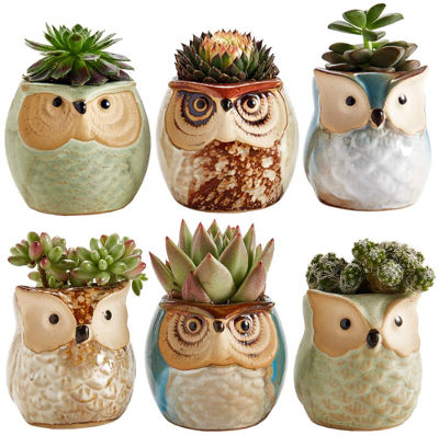Owl planters - gardening gifts