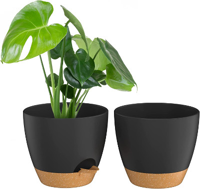 10 inch self-watering planters