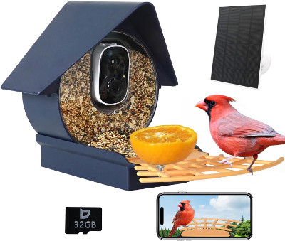 Smart Bird Feeder
