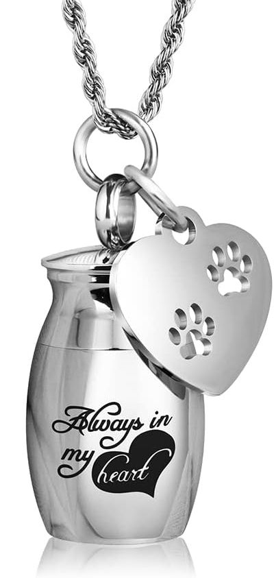 memorial gift - urn necklace for pet ashes