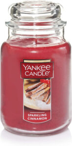Yankee Cinnamon Jar Candle