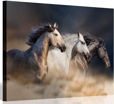 Running Horses Wall Art